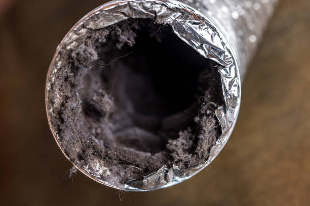 Best Ventilation Cleaning Services  in Maugansville, MD