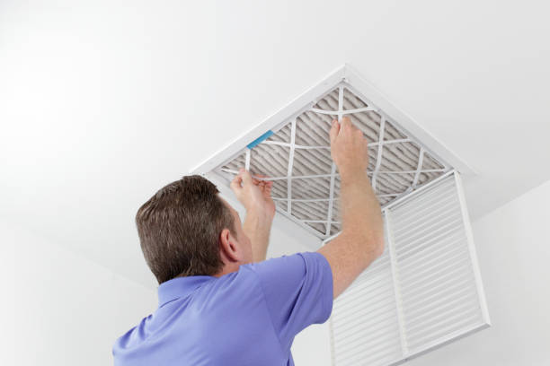 Best Professional Duct Cleaning Services  in Maugansville, MD